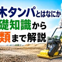画像2842