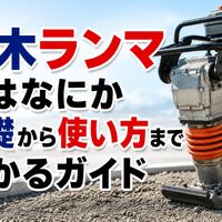 画像2890